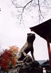 埼玉県秩父市の椋神社の狛犬は遠吠えをする！