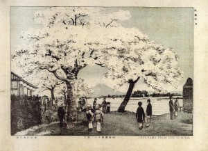 Scan10001 明治石版名所絵「向島櫻間ヨリノ冨士」。(FUJI─YAMA FROM THE SUMIDA)の欧文も添えられている。明治20年代中葉の作品と思われます(砂目石版ゆえ)。このモノトーンの雰囲気が実にノスタルジックではありませんか。描かれた人物の和洋混合の風俗も興味深いです。